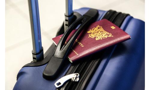 Pas s cestovním kufrem