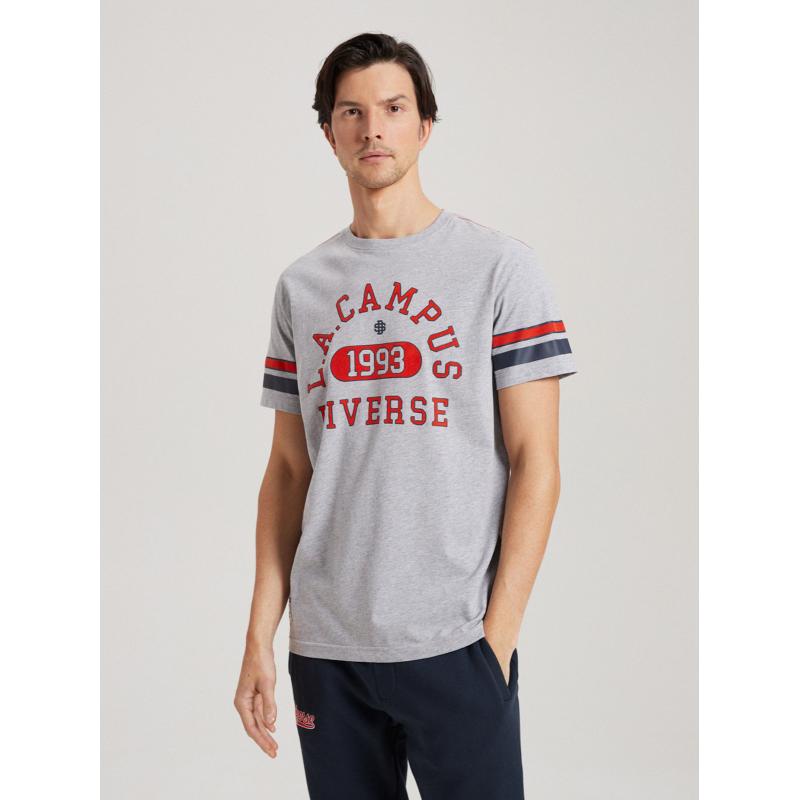 Pánské tričko s potiskem LA CAMPUS 01 S1814 - šedý melír