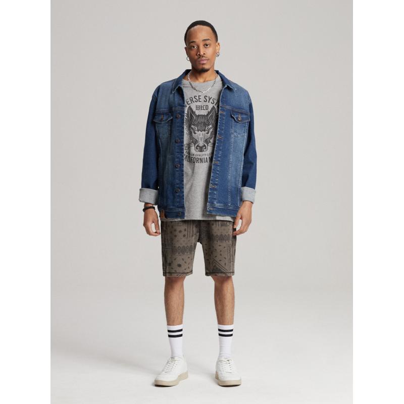 Pánské tričko s potiskem WOLF CALI S1819 - šedý melír