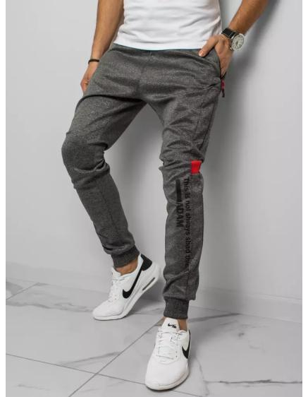 Pánske tepláky s potlačou šedej ADAM